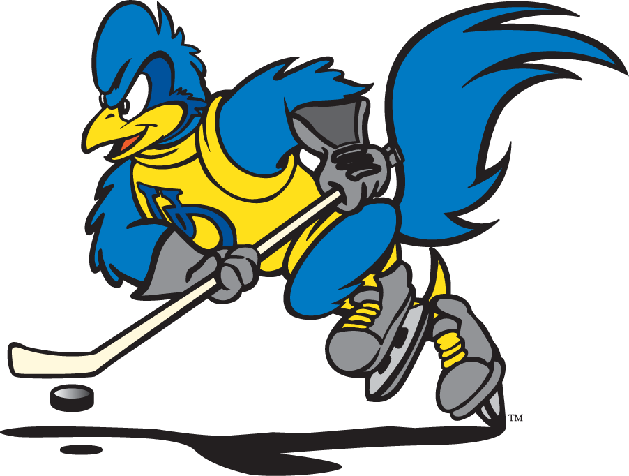 Delaware Blue Hens 1999-2009 Mascot Logo v13 diy DTF decal sticker